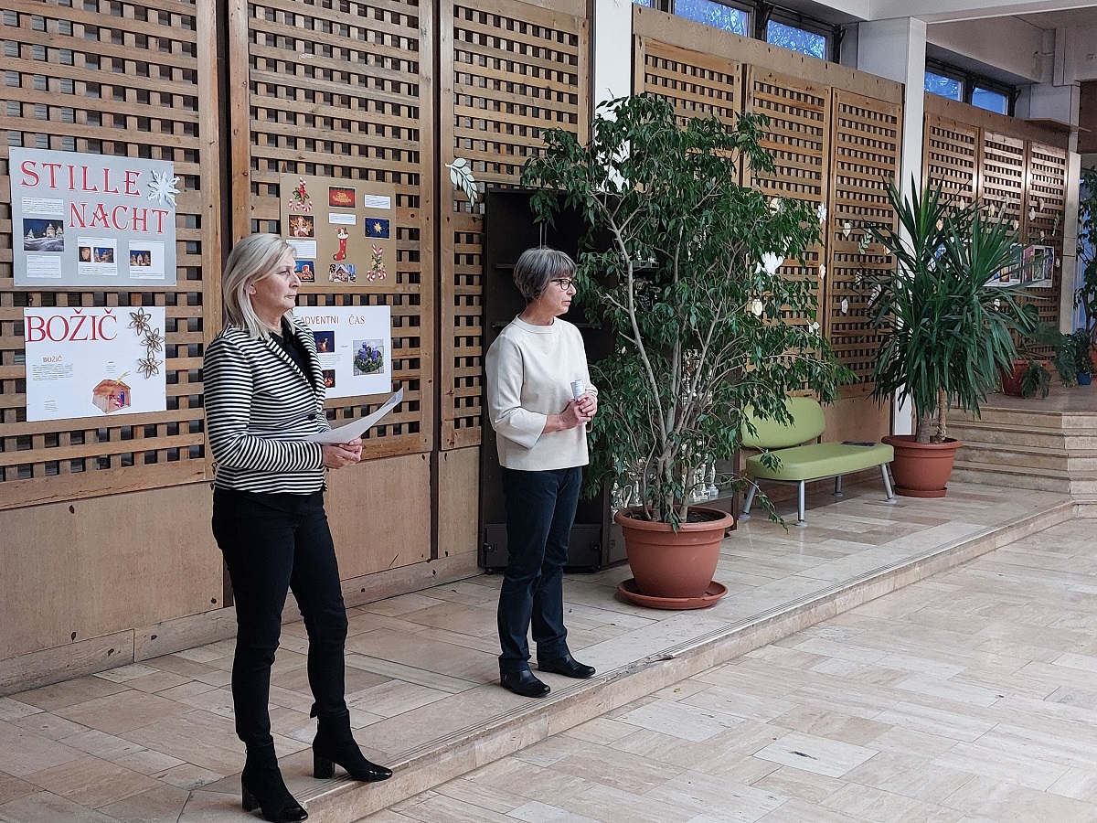 Narodnostni projektni dan